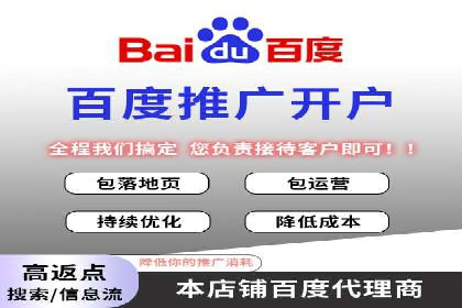 百度竞价赚钱的技巧与成功案例探讨